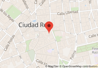 Otros inmuebles, Ciudad Real