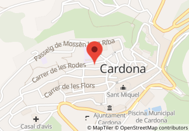 Vivienda en carrer de les rodes, 5, Cardona