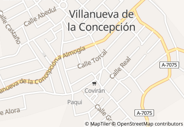 Vivienda, Villanueva de la Concepción