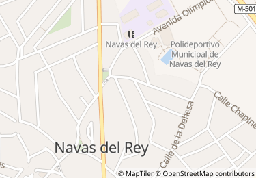 Otros inmuebles, Navas del Rey