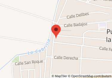 Vivienda en calle nueva, 133, Puebla de la Calzada