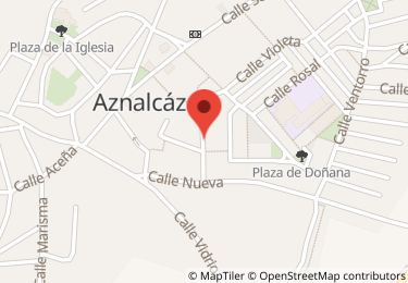 Local comercial en calle barrionuevo, 13, Aznalcázar