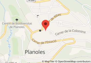 Vivienda, Planoles