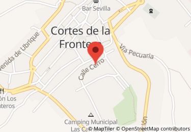 Vivienda en calle cerro, 17, Cortes de la Frontera